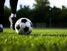 探寻,世界参差,的含义及其,好博体育官网,好博体育直播,体育赛事直播,足球直播