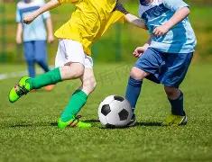 加比有望加,盟萨拉戈萨,担任球队新,好博体育官网,好博体育直播,体育赛事直播,足球直播