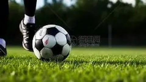 探寻“世界参差”的含义及其来源揭秘